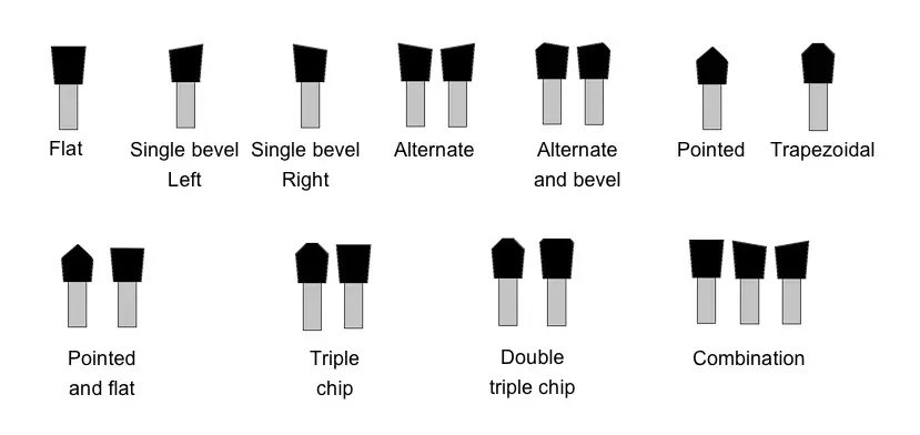 formas padrão dos dentes